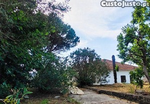 Casa / Villa T3 em Loivo de 236,00 m²