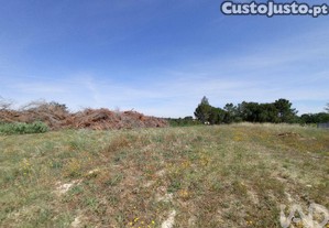 Terreno Agrícola em Madalena e Beselga