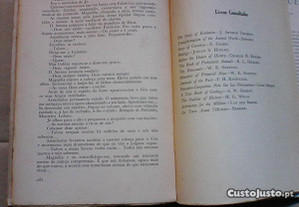 imagem_8