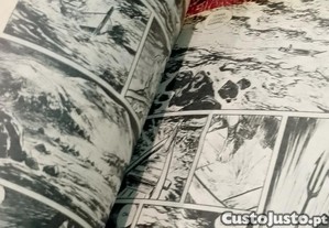 imagem_3