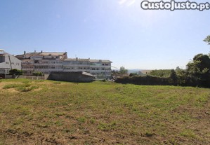 imagem_11
