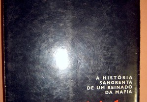 imagem_3