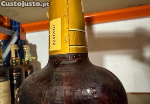 imagem_5