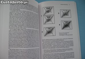 imagem_7