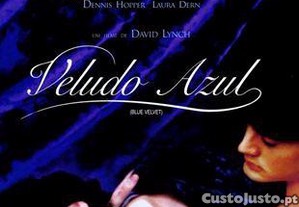 imagem_7