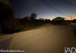 imagem_13