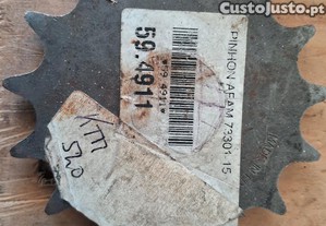 imagem_11