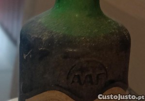 imagem_1