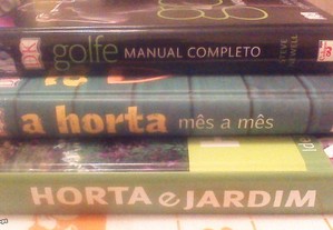 imagem_8