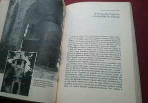 imagem_8