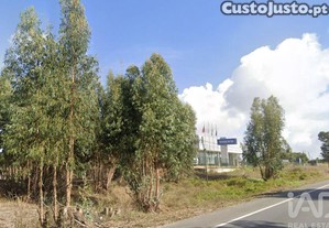 imagem_16
