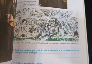imagem_6