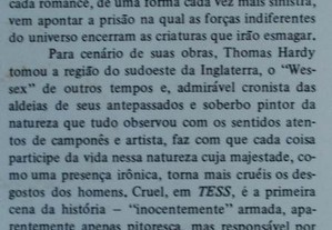 imagem_8