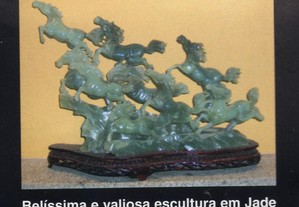 imagem_8