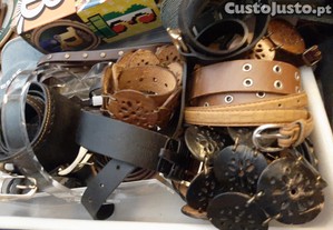 imagem_3