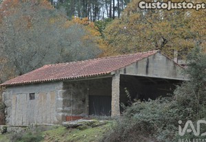 imagem_10