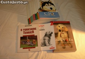 imagem_1