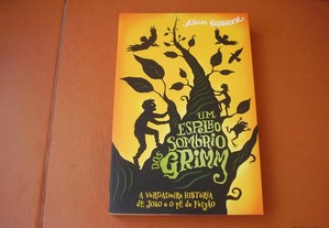 Livro Novo "Um Espelho Sombrio dos Grimm" de Adam Gidwitz / Portes de Envio Grátis