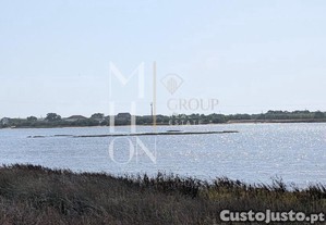 terreno, vista ria, a 1 Km da Praia da Vagueira