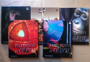 imagem_3