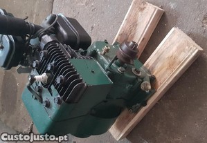 Motor ancestral