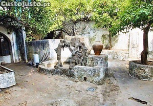 imagem_20