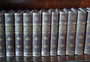 Grande dicionário da língua portuguesa - 13 volume
