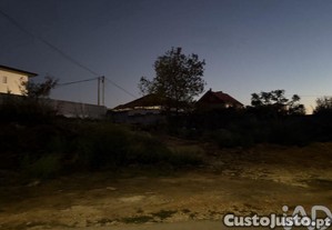 imagem_12