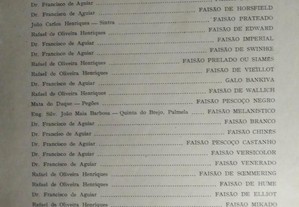 imagem_6