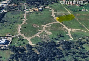 imagem_1