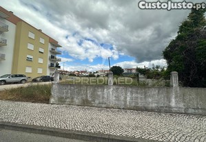 imagem_12