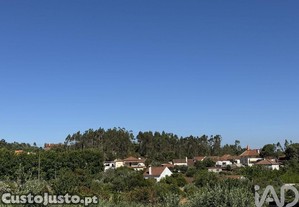 imagem_22