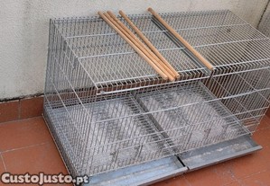 Viveiro galvanizado