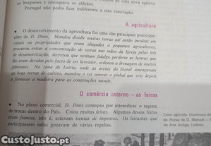 imagem_6