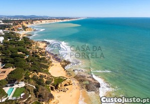 imagem_22