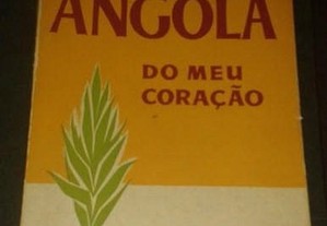 Angola do meu coração, de João Falcato.