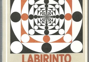 Labirinto do Espaço Romanesco: tradição e renovação da literatura brasileira - Sónia Brayner