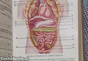imagem_5