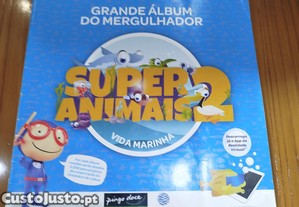 imagem_1