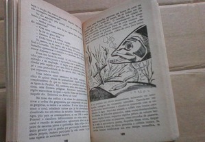 imagem_7