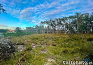 Terreno para construção em Monte Redondo e Carreir
