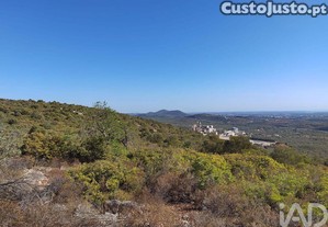 Terreno Agrícola em Loulé (São Sebastião)