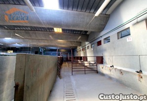 imagem_7