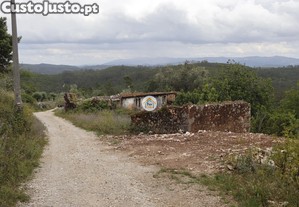 imagem_7