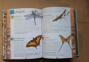 imagem_6