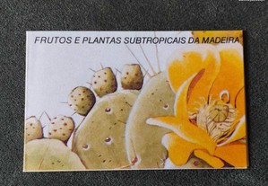 imagem_3