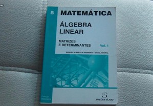 Álgebra Linear - Volume 1 Matrizes e Determinantes de Manuel Alberto M. Ferreira Edições Sílabo
