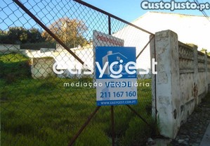 imagem_7