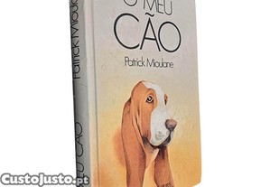 imagem_1