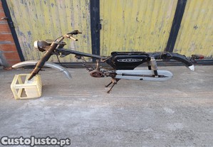 Casal k181 peas